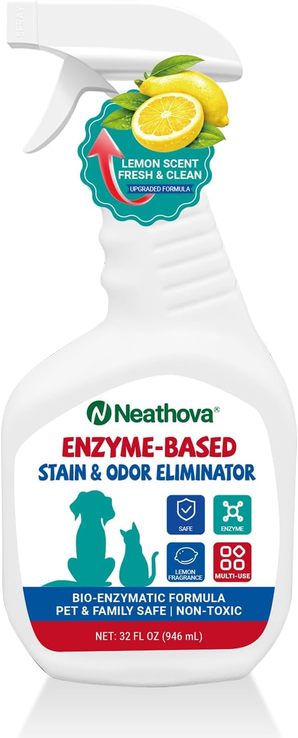 Stain & Strong Odor Eliminator, Enzyme Cleaner, Pet Odor Eliminator for Home - Carpet Stain Remover for Cats & Dog Pee - Urine Destroyer - Carpet Cleaner Spray Clear (Unscented)