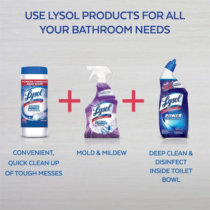 Lysol Mildew Remover Spray with Bleach, 32 Ounce (Pack of 12)