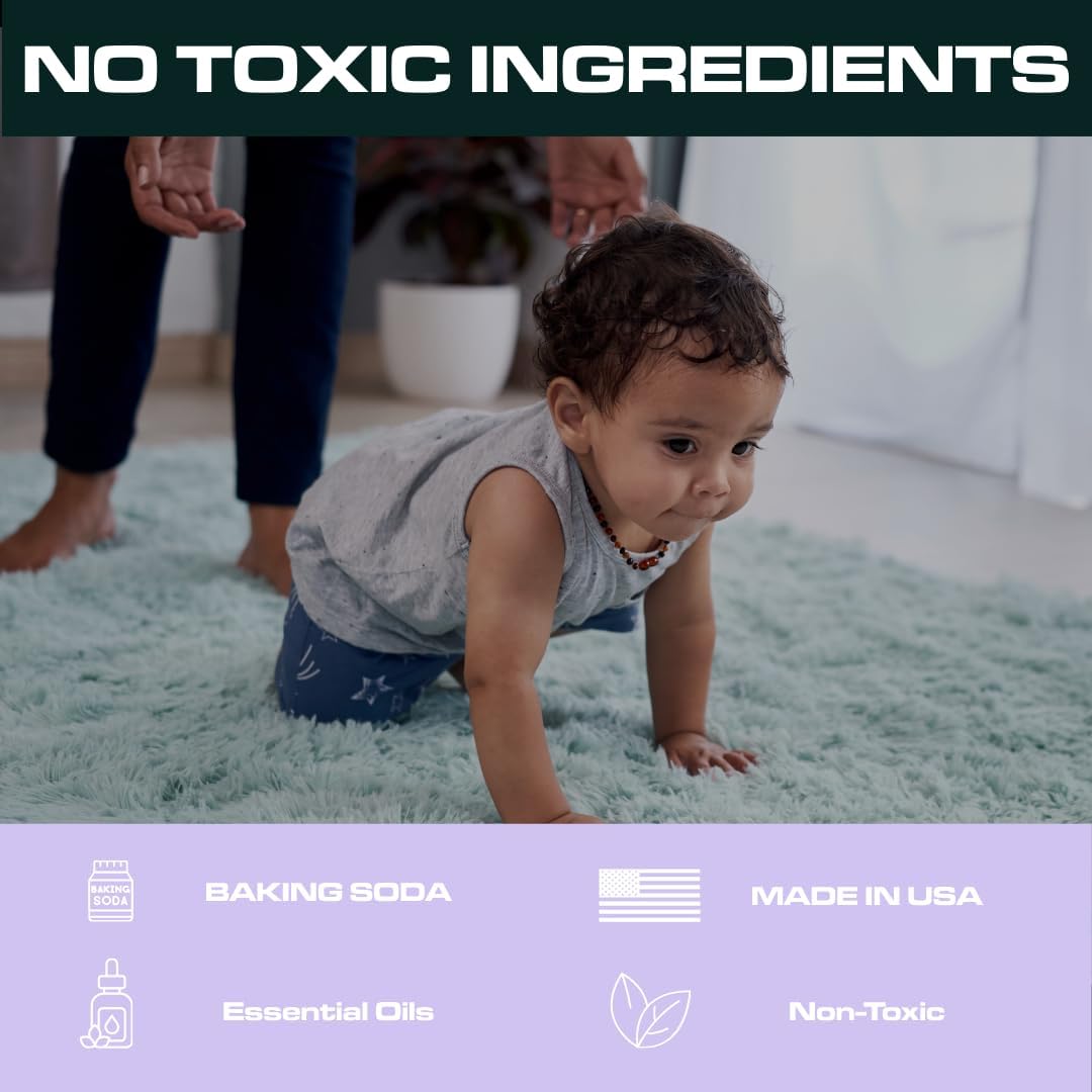 Ripclean Carpet Deodorizer & Freshener Cleaning Powder, Odor Eliminator for Strong Odors & Homes w/Pets, Safe around Kids & Pets, Use on Carpet, Rugs, Upholstery & More (16 Ounce, Lemon)