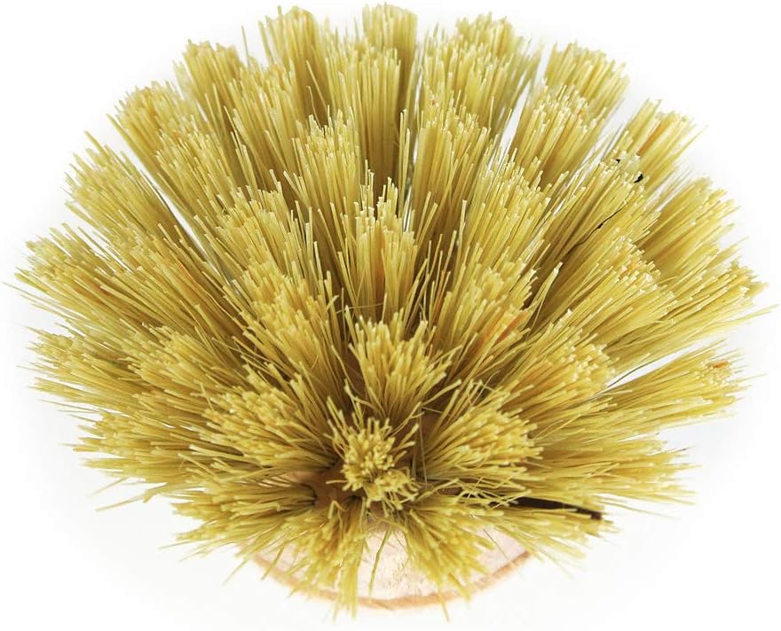 REDECKER Replacement Head for Dish Brush, 1-5/8-inch, Set of 2, 100% Natural Tampico Fiber and Untreated Beechwood, Made in Germany - Natural Dish Brush Replacement Heads