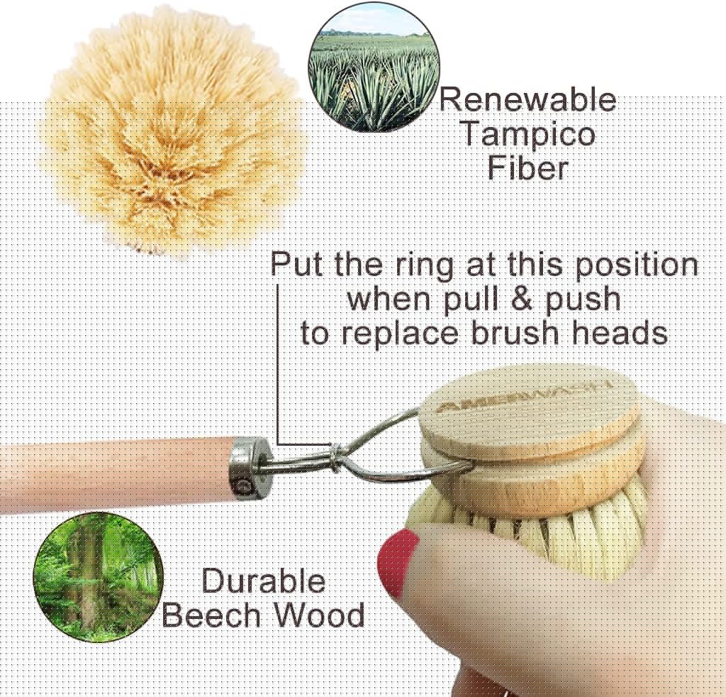 AMERWASH PLUS Dish Brush with Wooden Handle, Natural Kitchen Brush for Dishes Vegetable, Pots and Pans, Tampico Fiber Bristles Scrubber, Extra 3 Pack Replacement Head Included