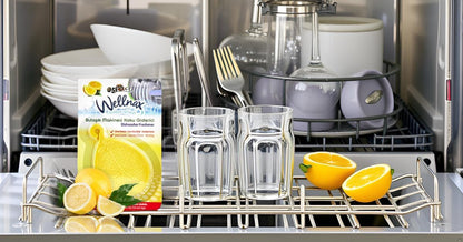 Wellnax Dishwasher Freshener (Green Apple)