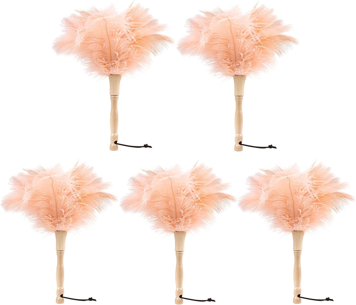 Ostrich Feather Duster 12 Inch Handheld Duster Supplies, Wooden Handle Feather Duster for Cleaning Keyboard Home Car Office (Champagne)