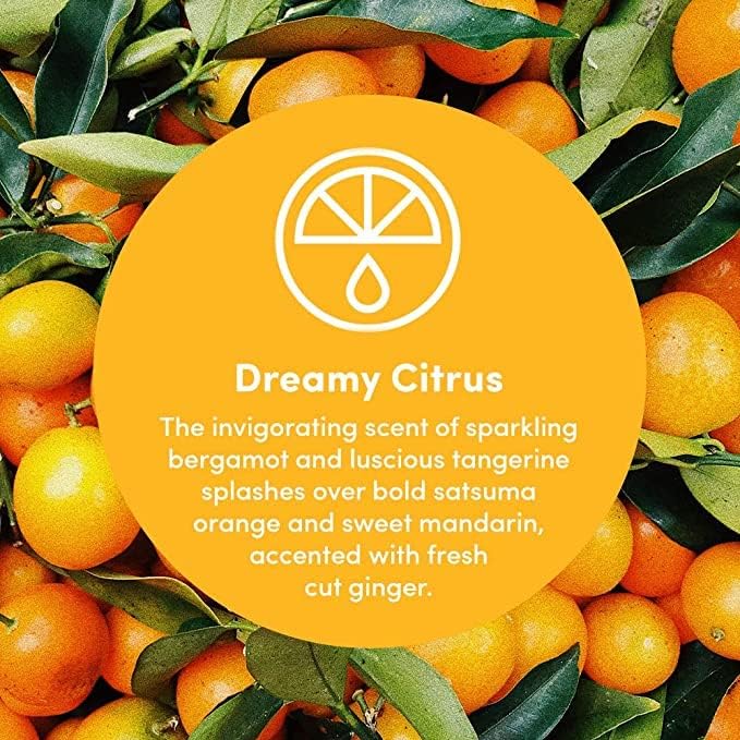 Clean Revolution Multi Surface Cleaner Refill Supply, Non-Toxic, Eco-Friendly & Plant-Based, Ready to Use, Lemon & Herbs, 128 Fl Oz (1 Gallon)