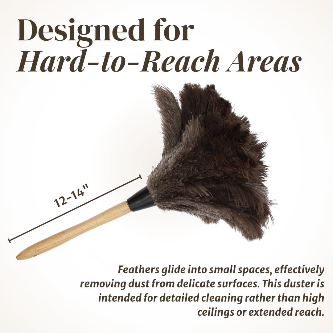 Retractable Feather Duster 8-14 in Adjustable - Natural Feather Dusters for Cleaning Ceiling Fans, Blinds, Plantation Shutters, Walls & Furniture - Quality Checked in USA - 1 Pack
