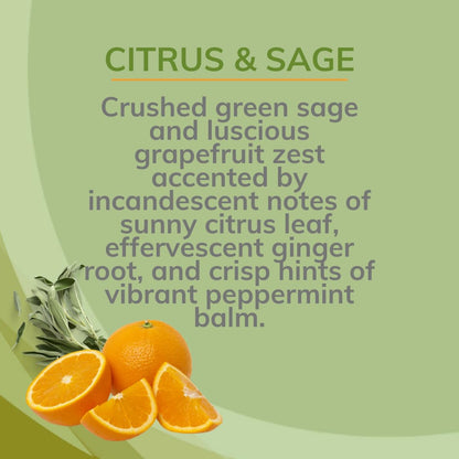 Citrus Magic Odor Eliminating Air Freshener Spray, Assorted Fragrances - Georgia Peach, Dragonfruit, Citrus and Sage, Grapefruit