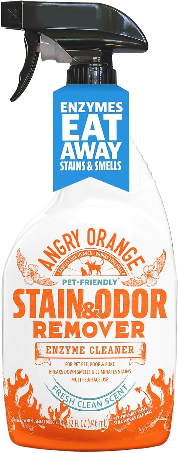 ANGRY ORANGE Stain & Odor Remover - 32oz Pet Urine Enzyme Cleaner - Enzymatic Dog & Cat Pee Destroyer and Odor Eliminator - NEW Orange Rush Scent Cleaning Solution for Home