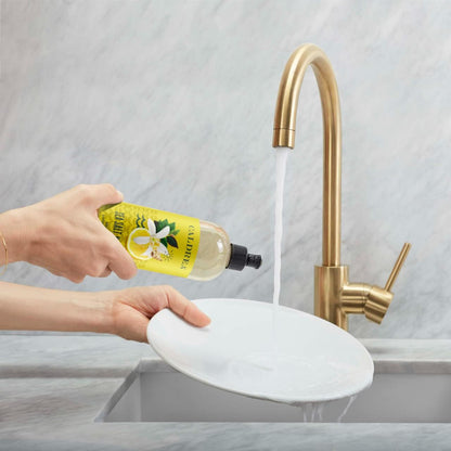 Caldrea Dish Soap, Biodegradable Dishwashing Liquid made with Soap Bark and Aloe Vera, Ginger Pomelo Scent, 16 oz