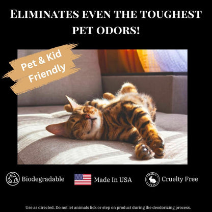 Carpet Deodorizer & Freshener Powder - Upholstery, Couch & Rug Odor Eliminator for Strong Odor & Pet Urine | Baking Soda Formula | Lilac in Full Bloom | Safe for Kids & Pets | 1-1-4 Howard Candle Co.