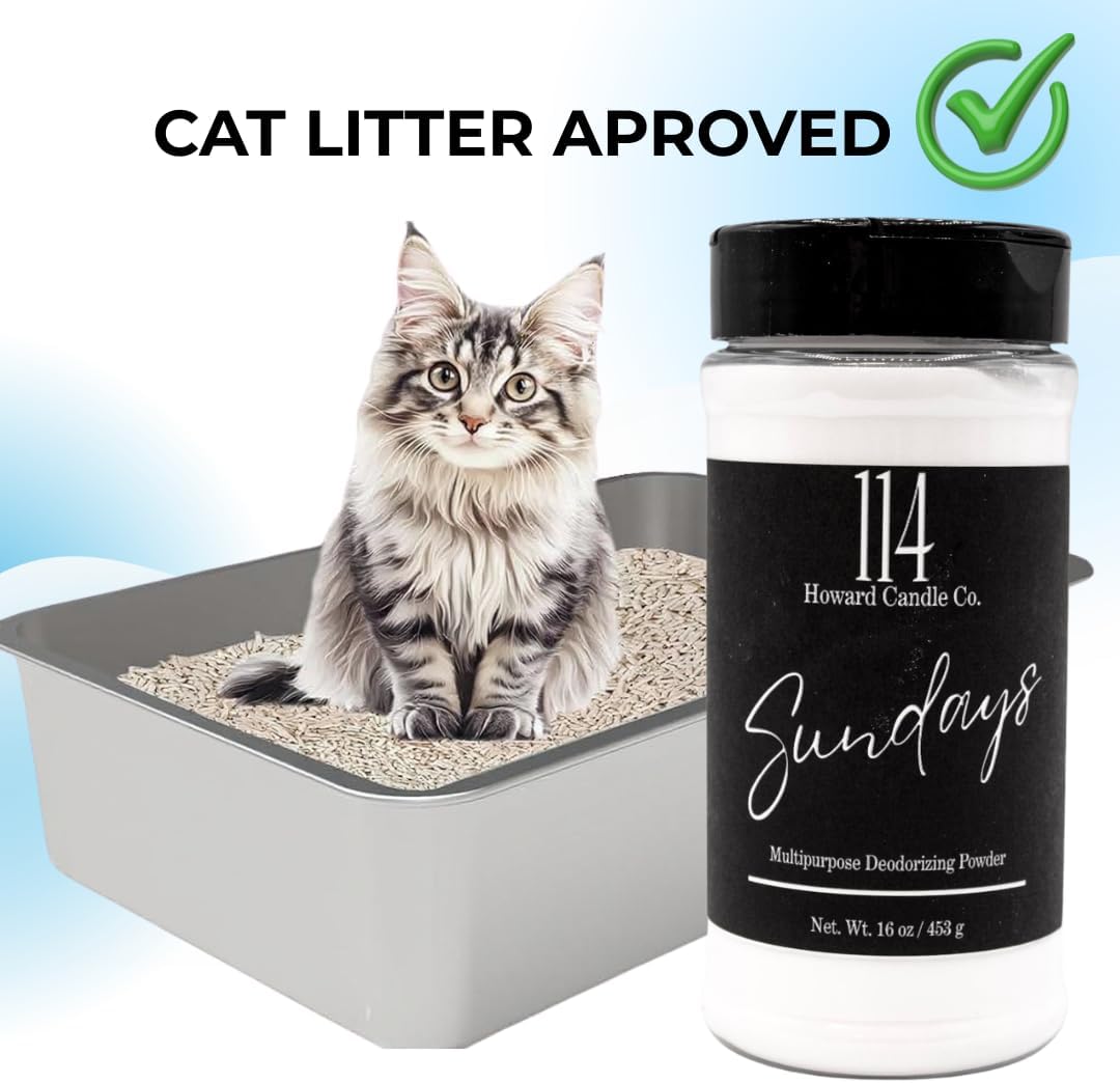 Carpet Deodorizer & Freshener Powder - Upholstery, Couch & Rug Odor Eliminator for Strong Odor & Pet Urine | Baking Soda Formula | Sundays Scent | Safe for Kids & Pets | 1-1-4 Howard Candle Co.