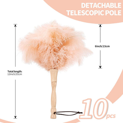 Ostrich Feather Duster 12 Inch Handheld Duster Supplies, Wooden Handle Feather Duster for Cleaning Keyboard Home Car Office (Champagne)