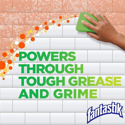 Fantastik All-Purpose Cleaner, with Bleach, 32 Fl Oz