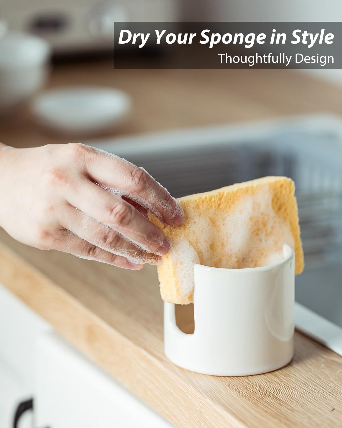 Zoeeker Sponge Holder for Kitchen Sink, Ceramic Dish Sponge Dish Rack Scrubby Caddy Kitchen Organizer Cute Sink Caddy Organizer, Farmhouse Decor, Speckled Glaze
