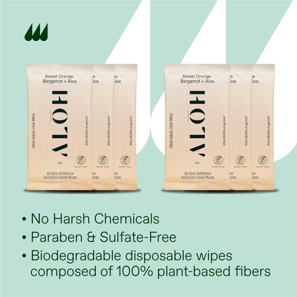 ALŌH Peppermint Eucalyptus + Aloe Sanitizing Hand Wipes - Clean Hands, Clear Mind On The Go Sanitizer for Kids and Adults - Travel Size 3 Pack 20ct Wipes (60 Wipes)