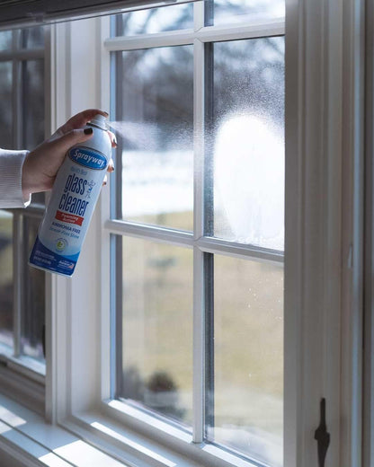 Sprayway Glass Cleaner with Foaming Spray for a Streak-Free Shine for Home and Automotive Use, 19 oz., Pack of 6