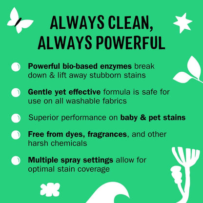 Molly's Suds Stain Remover Spray | Gentle Yet Powerful, Great for Baby & Pet Stains | Clean, Simple Ingredients (Fragrance Free) (16 Fl Oz (Pack of 2))