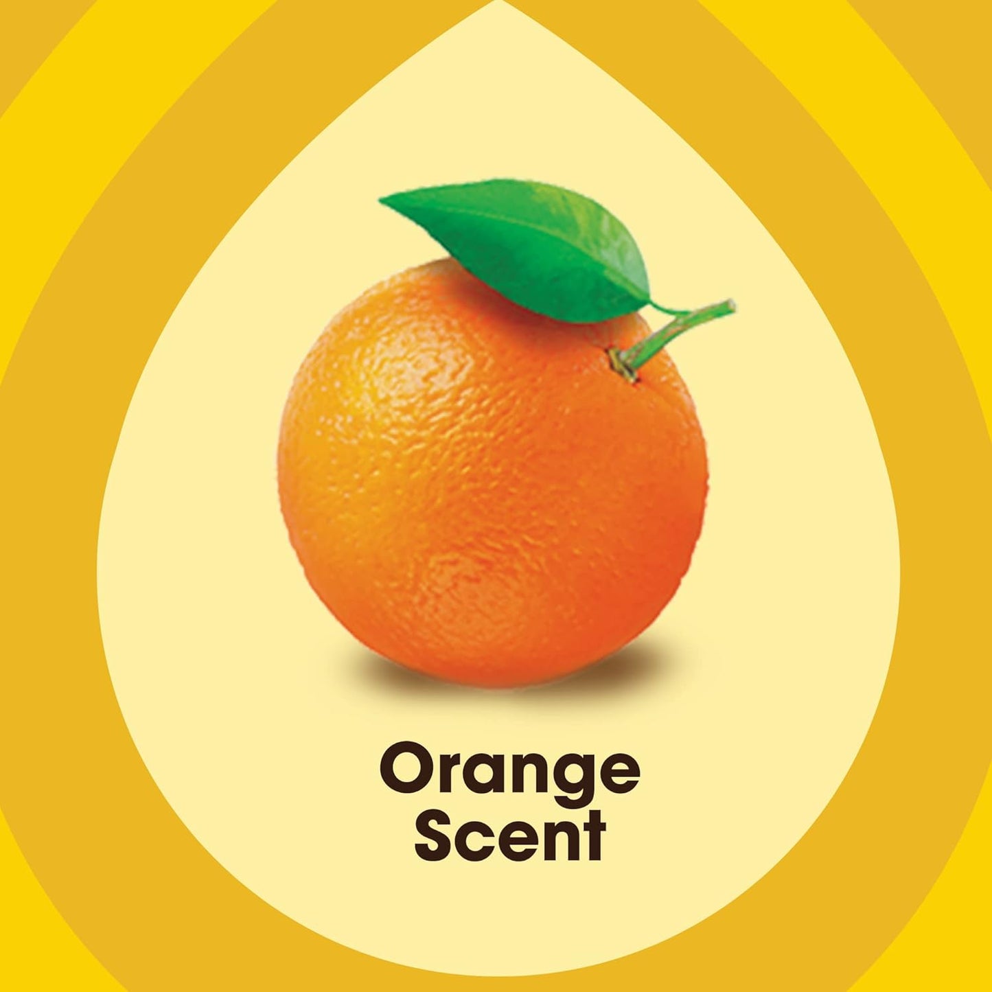 Pledge Wood Oil, Expert Care, Trigger, Orange Scent, 16 oz (Pack of 1)