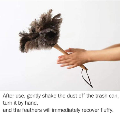 Ostrich Feather Duster for Cleaning-Furniture Dusters with Handle Ddzmz Hand Duster with Fluffy Natural Genuine Feather Reusable Household Duster, Gray and Brown(Length 16")