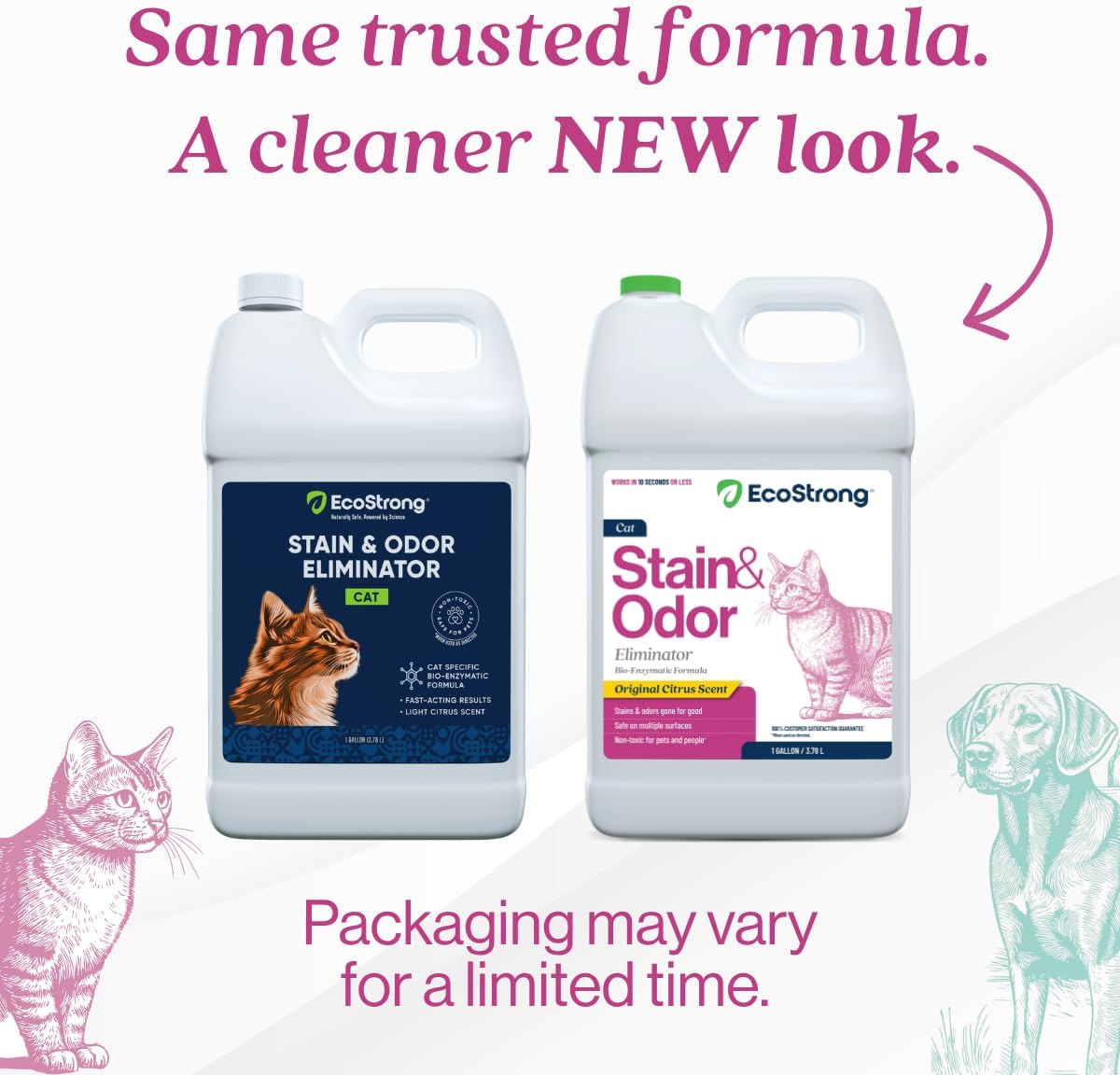 Eco Strong Cat Stain And Odor Remover | Enzyme Urine Odor Neutralizer - Stain Remover for Carpet, Litter Boxes, Bedding, and Laundry [Citrus Scent, 32 oz. Spray]
