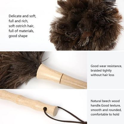 Retractable Ostrich Feather Duster for Cleaning, Fluffy and Natural Feather Duster with Retractable Handle， Reusable Eco-Friendly Handheld Cleaning Supplies (15 inch)