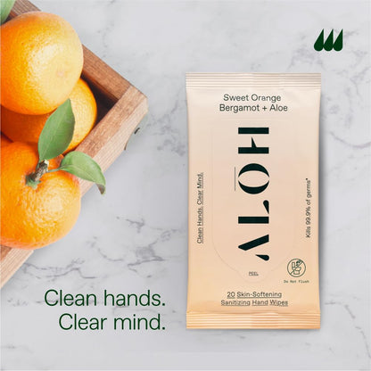 ALŌH Peppermint Eucalyptus + Aloe Sanitizing Hand Wipes - Clean Hands, Clear Mind On The Go Sanitizer for Kids and Adults - Travel Size 3 Pack 20ct Wipes (60 Wipes)