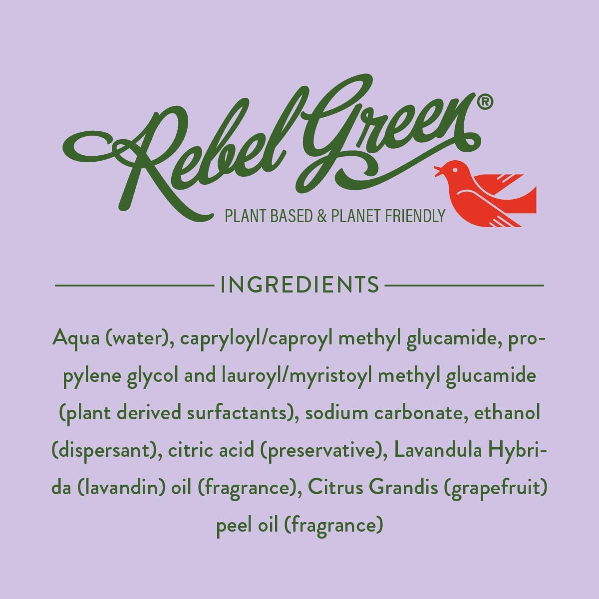 Rebel Green Natural All-Purpose Cleaning Spray - Plant-Derived Multi-Surface Cleaner with Essential Oils for Kitchen, Bath, Countertops and More - Peppermint & Lemon Scent - 16 oz - 1 Pack