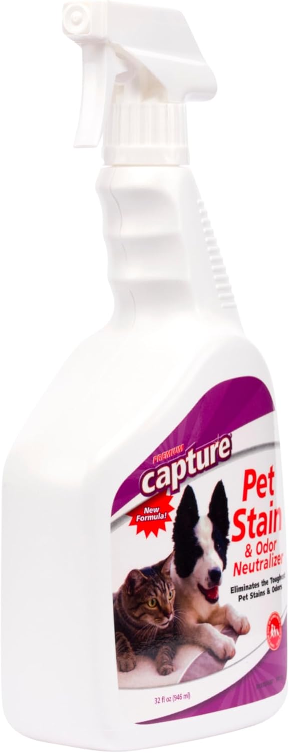 Capture Pet Stain & Odor Remover - Enzyme Pet Odor Eliminator for Home, Carpet Stain Remover for Cats & Dog Pee, Cat Urine Destroyer, Carpet Cleaner Spray - 1 Gallon