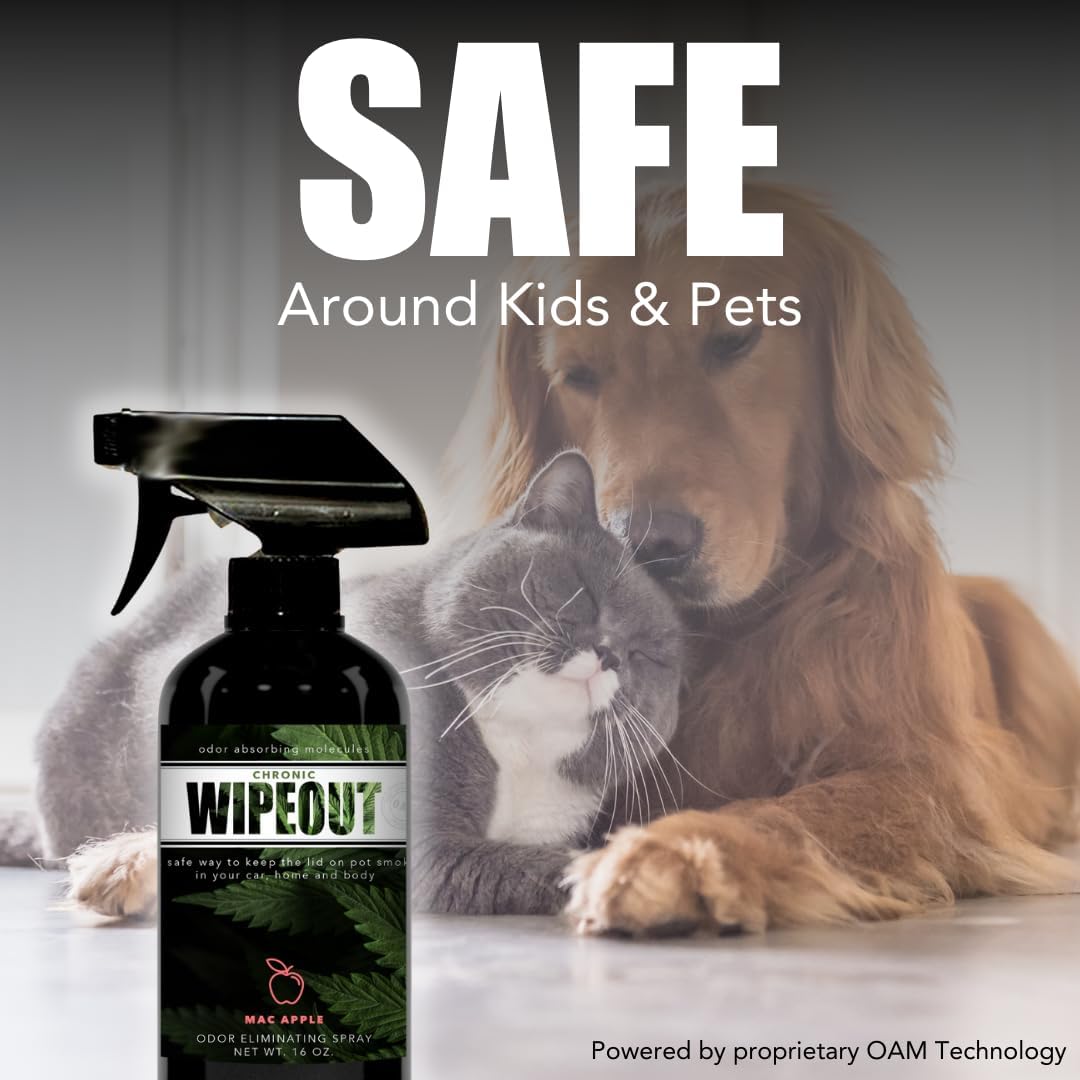 Chronic Wipeout Smoke Odor Eliminator Spray For Strong Odor - Highly Effective for Deodorizing Homes, Clothes, Cars, Office, Hands, & Hair from Smoke Smells - 1 16 oz Bottle Bamboo Teak Fragrance