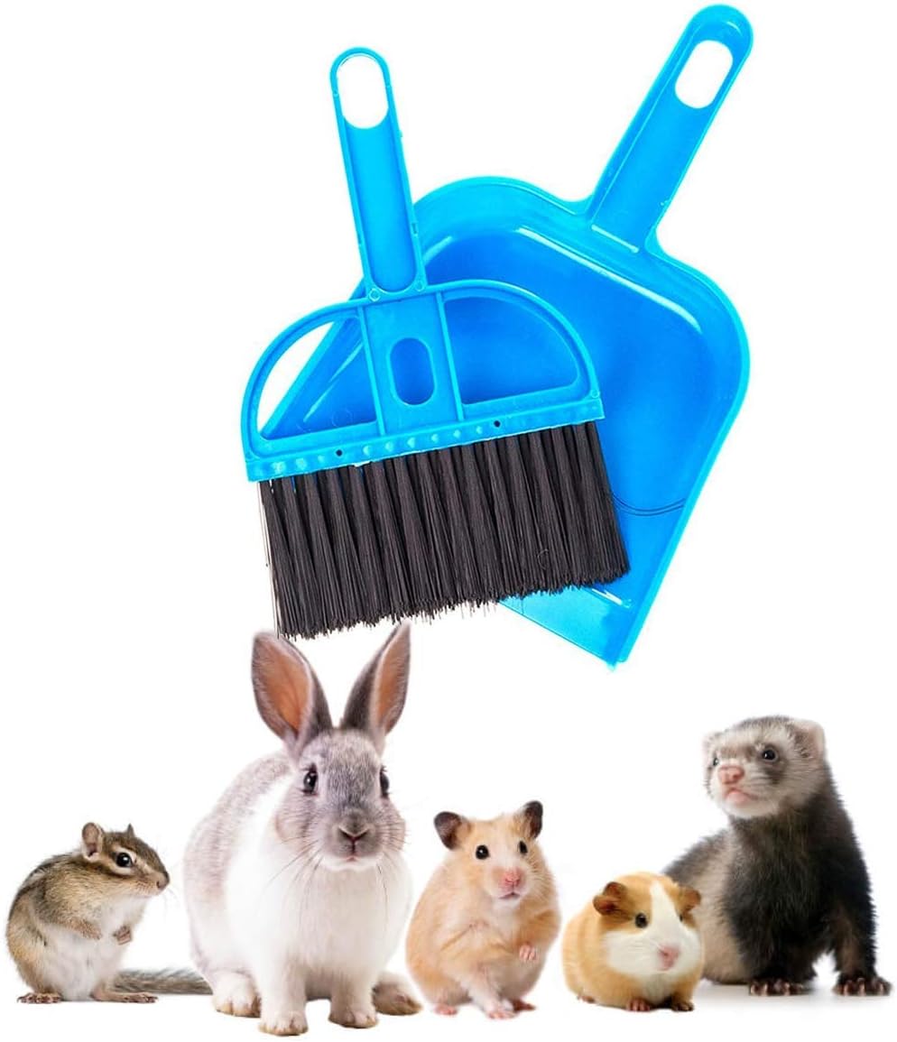 Mini Broom and Dustpan Set - Compact Cleaning Kit for Home, Car, Camping, Small Spaces, Pet Cleanup, and Travel - Durable Small Broom and Dustpan Set Mini - Mint Green Broom