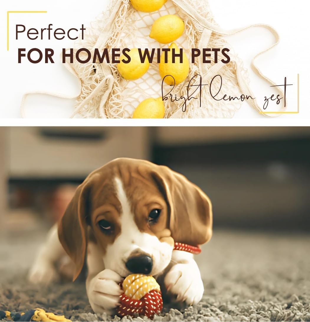 | Carpet Odor Eliminator & Deodorizing Powder | Bright Lemon Zest | Safe & Gentle for Households with Pets & Children