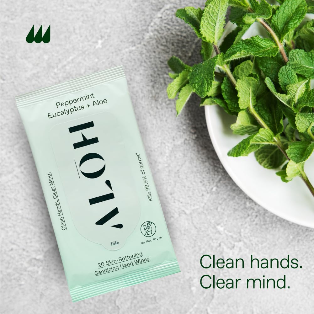 ALŌH Peppermint Eucalyptus + Aloe Sanitizing Hand Wipes - Clean Hands, Clear Mind On The Go Sanitizer for Kids and Adults - Travel Size 3 Pack 20ct Wipes (60 Wipes)