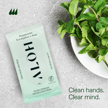ALŌH Peppermint Eucalyptus + Aloe Sanitizing Hand Wipes - Clean Hands, Clear Mind On The Go Sanitizer for Kids and Adults - Travel Size 3 Pack 20ct Wipes (60 Wipes)