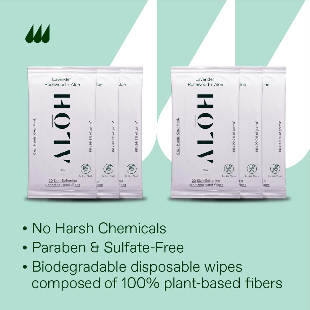 ALŌH Peppermint Eucalyptus + Aloe Sanitizing Hand Wipes - Clean Hands, Clear Mind On The Go Sanitizer for Kids and Adults - Travel Size 3 Pack 20ct Wipes (60 Wipes)