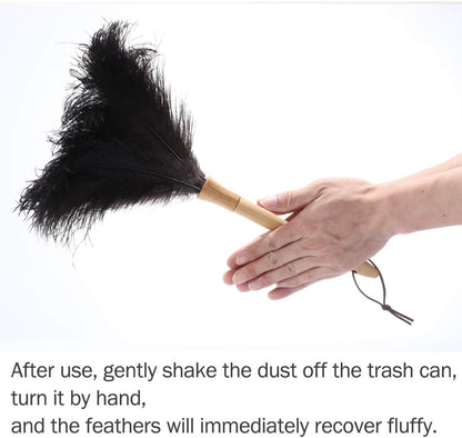 Ostrich Feather Duster for Cleaning-Furniture Dusters with Handle Ddzmz Hand Duster with Fluffy Natural Genuine Feather Reusable Household Duster, Gray and Brown(Length 16")