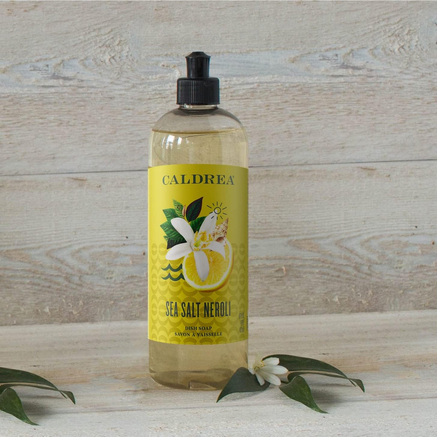 Caldrea Dish Soap, Biodegradable Dishwashing Liquid made with Soap Bark and Aloe Vera, Ginger Pomelo Scent, 16 oz