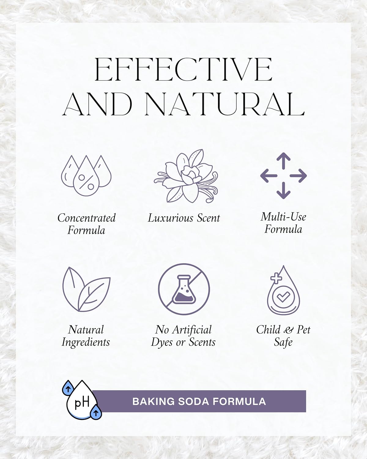 Home Noir Luxe Carpet Deodorizer Powder - Natural Odor Eliminator for Carpet, Upholstery, Pet Urine - Pet-Friendly - Black Plum, Sea Salt & Ozone Scent, Spring Cleaning