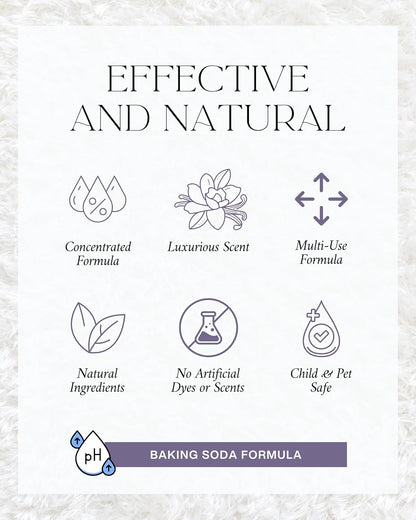 Home “Sea Salt & Lime” Carpet Deodorizer Powder – Natural Odor Eliminator for Carpets, Upholstery, Pet Urine, Dog Beds & Cat Litter Boxes – Pet-Friendly, Non-Toxic Spring Cleaning
