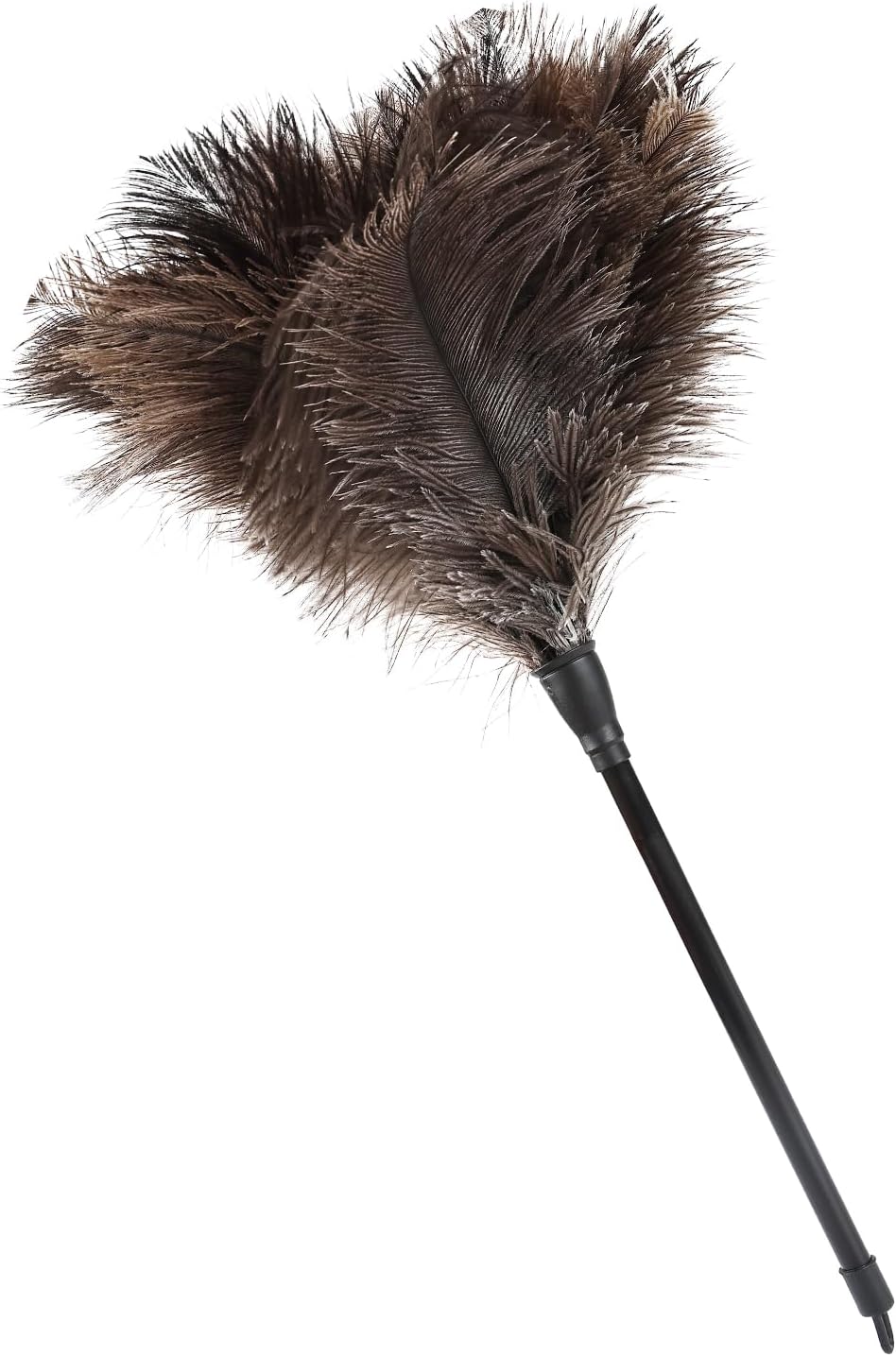 Ostrich Feather Duster 12 Inch Handheld Duster Supplies, Wooden Handle Feather Duster for Cleaning Keyboard Home Car Office (Champagne)