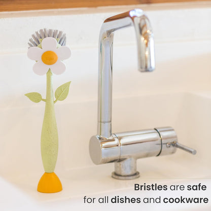 Vigar Florganic Daisy-Shaped Dish Brush, a Dish Brush with Handle, and a Dish Brush with Stand for Pot Scrubber, Kitchen Dishes, and Sink Cleaning