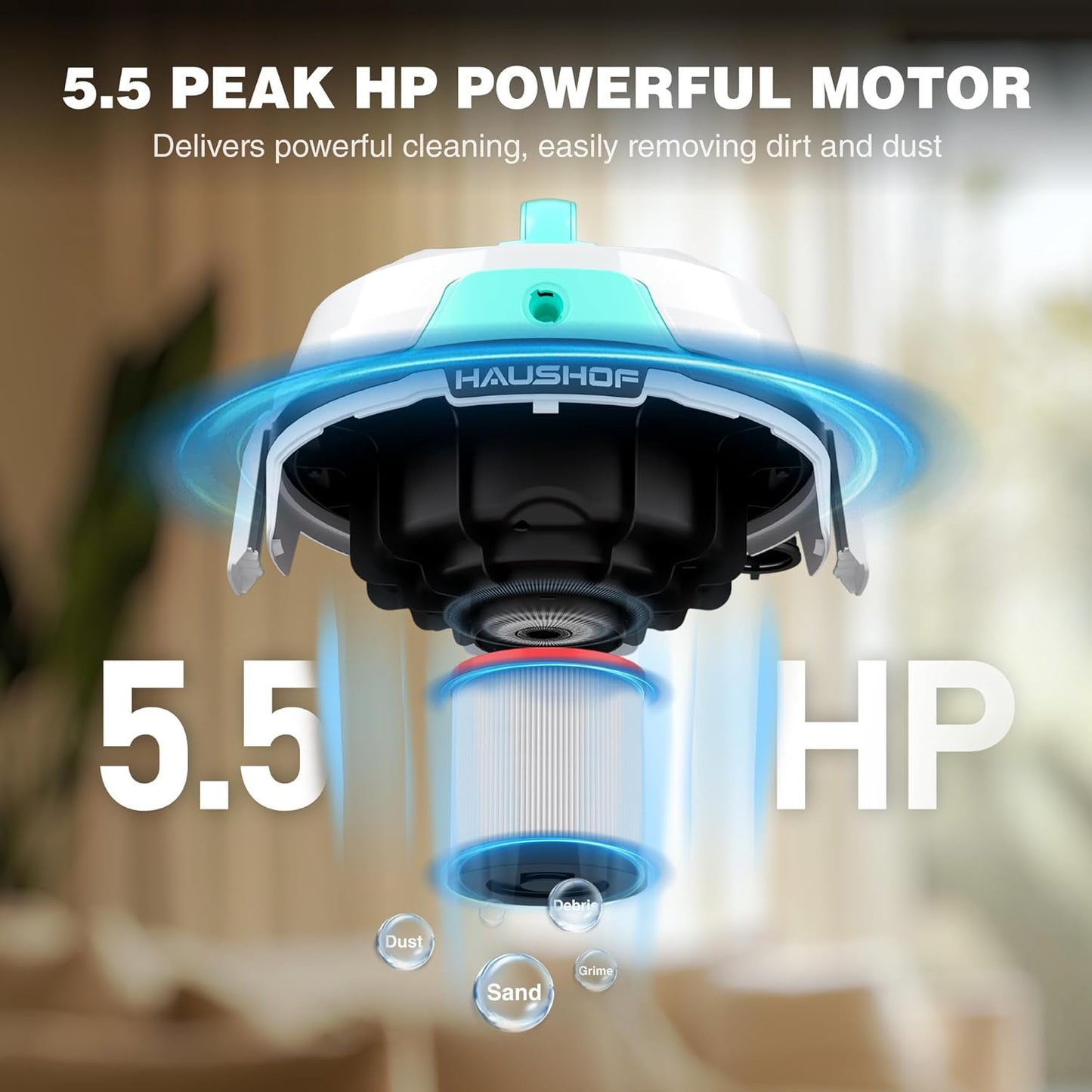 HAUSHOF 4 Gallon 5.5 Peak HP Wet/Dry Vacuum Upholstery Cleaner, Portable Shop Vacuum with 1-1/4 Inch Diameter x 5 Foot Hose, 13 Foot Cord, Ideal for Home, Workshop, and Garage Cleaning