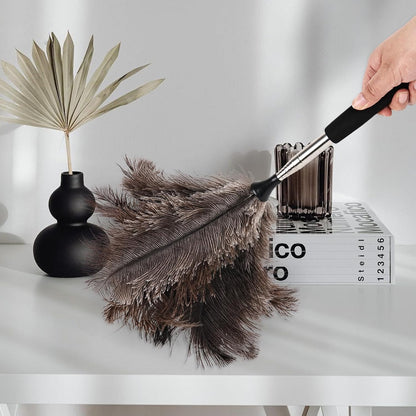 Ostrich Feather Duster 12 Inch Handheld Duster Supplies, Wooden Handle Feather Duster for Cleaning Keyboard Home Car Office (Champagne)