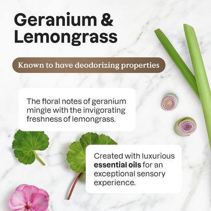 ATTITUDE Dish Soap, EWG Verified, Plant and Mineral-Based Ingredients, Vegan and Cruelty-free Household Products, Geranium and Lemongrass, 16 Fl Oz