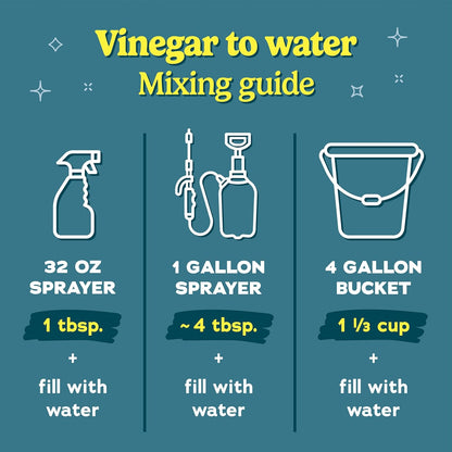 WF 30% Vinegar Concentrate