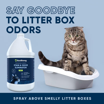 Eco Strong Cat Stain And Odor Remover | Enzyme Urine Odor Neutralizer - Stain Remover for Carpet, Litter Boxes, Bedding, and Laundry [Citrus Scent, 32 oz. Spray]