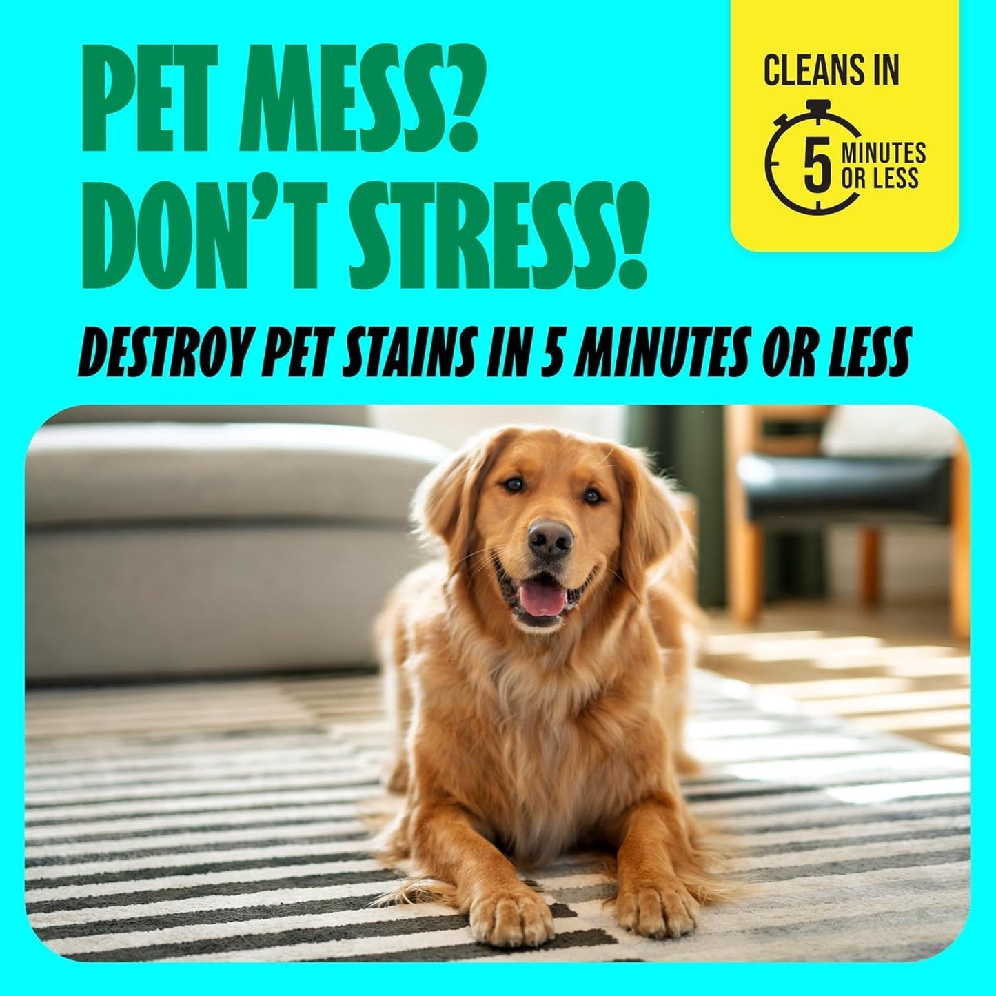 Shout Pet Stain Remover Spray, Color-Safe Multisurface & Carpet Cleaner Solution for Dog & Cat Urine, Feces, Vomit & Mud, Fights Odors & Remarking, Fast-Acting Cleans in 5 Minutes or Less, 22oz