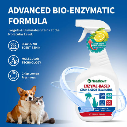 Stain & Strong Odor Eliminator, Enzyme Cleaner, Pet Odor Eliminator for Home - Carpet Stain Remover for Cats & Dog Pee - Urine Destroyer - Carpet Cleaner Spray Clear (Unscented)