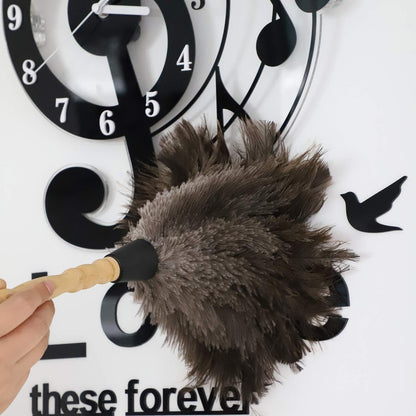 Midoneat Natural Black Ostrich Feather Duster,2 Packs,Car Duster Interior/Exterior Cleaner, Cleaning for Blinds Kitchen Keyboard Office, Smart and Soft and Fluffy (Black)