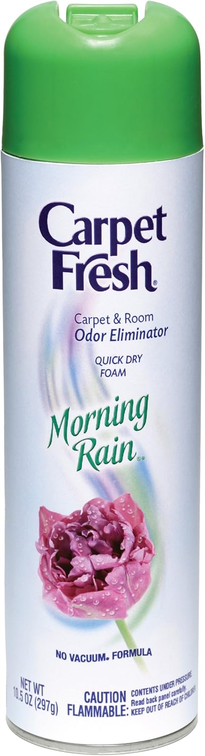 Carpet Fresh Quick-Dry Foam, Morning Rain, 10.5 OZ Morning Rain 10.5 Ounce (Pack of 1)