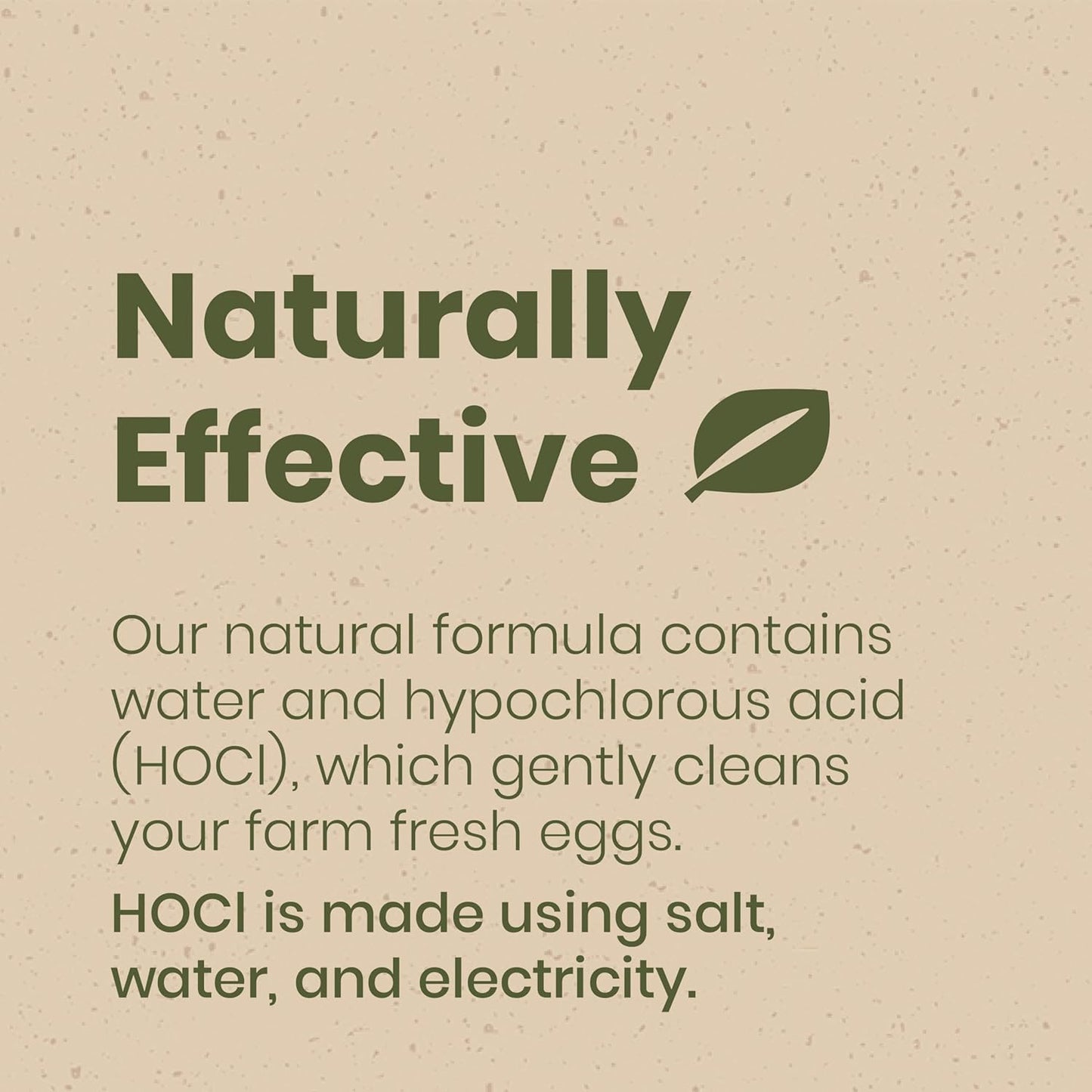 Clean Republic Good Salt Pet Fresh Nest Egg Wash Spray, Natural Cleaner for Freshly Laid Eggs, Made in the USA, 32 Ounce Bottle
