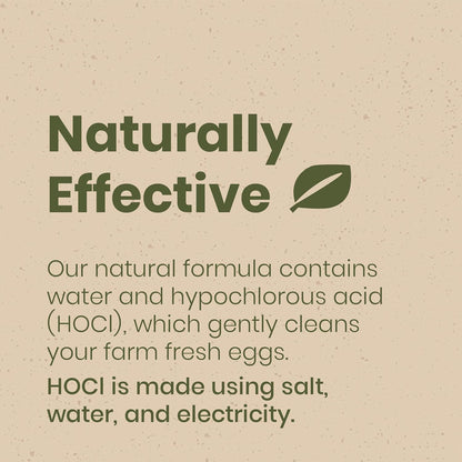 Clean Republic Good Salt Pet Fresh Nest Egg Wash Spray, Natural Cleaner for Freshly Laid Eggs, Made in the USA, 32 Ounce Bottle